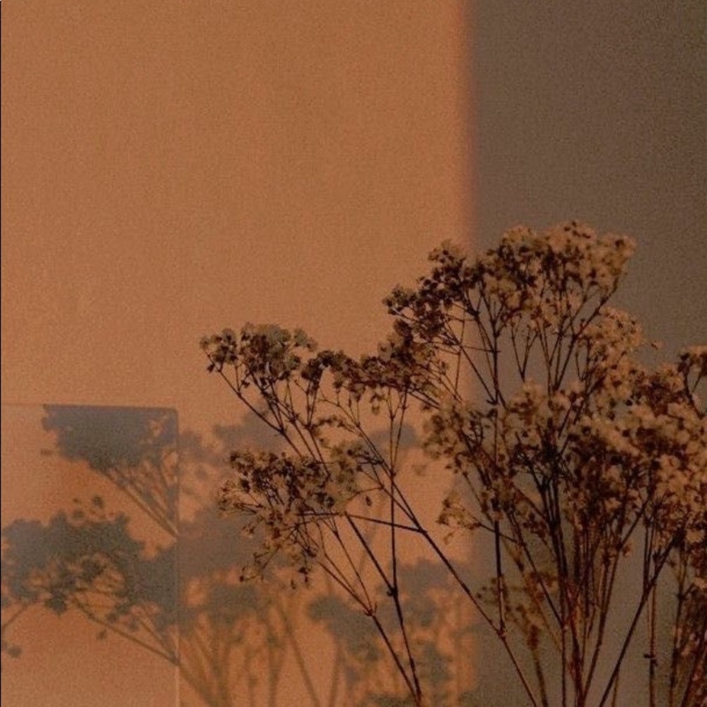 Meet your Posher, Joyce